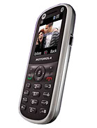Best available price of Motorola WX288 in Jf